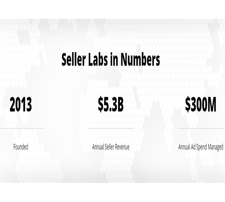 seller labs review